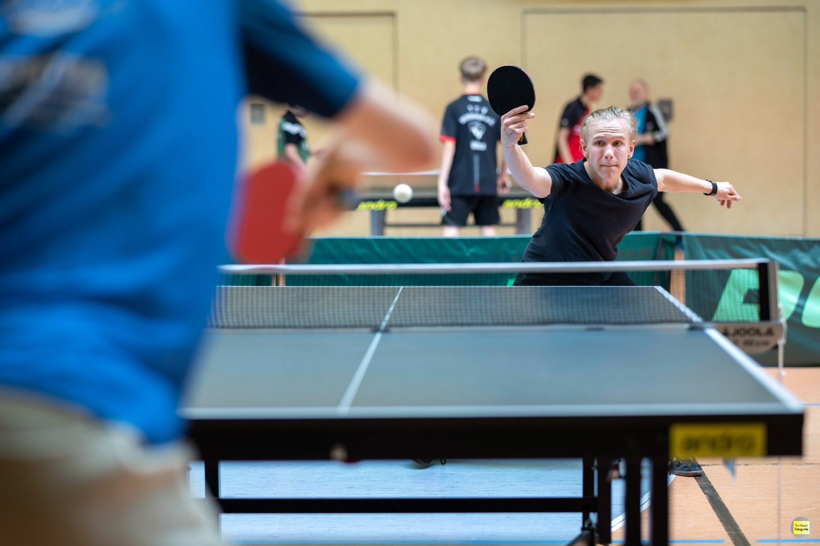 https://strapi.ttv-topspin-bernau.denull