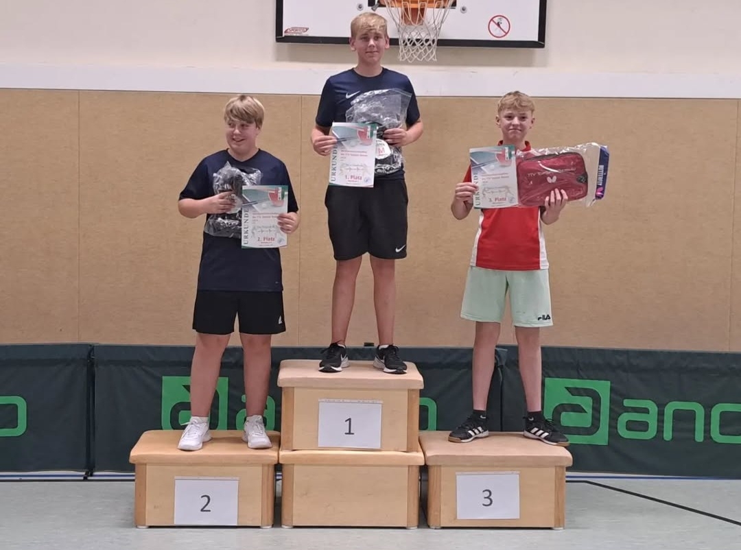 https://strapi.ttv-topspin-bernau.denull