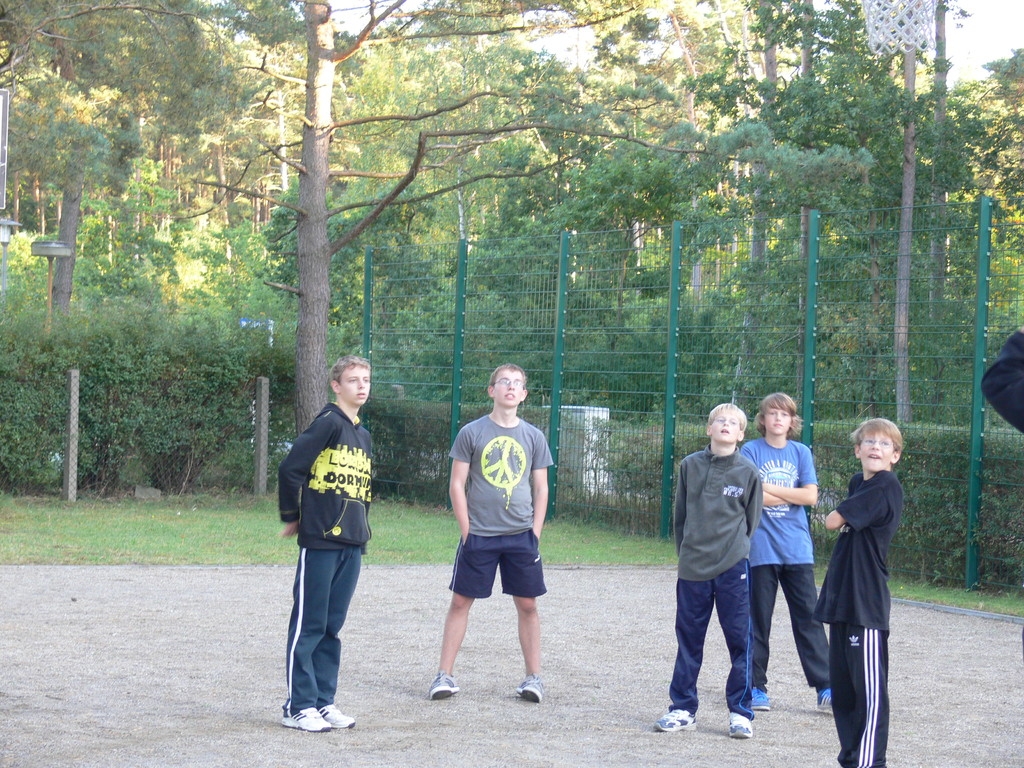 https://strapi.ttv-topspin-bernau.denull