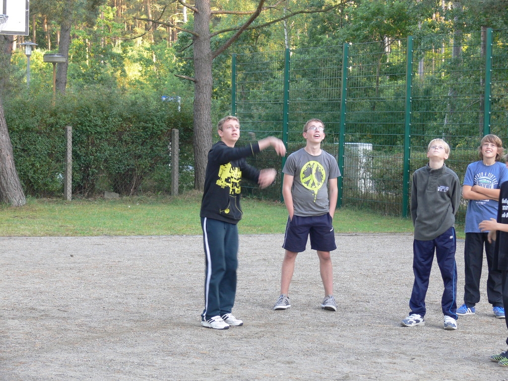 https://strapi.ttv-topspin-bernau.denull