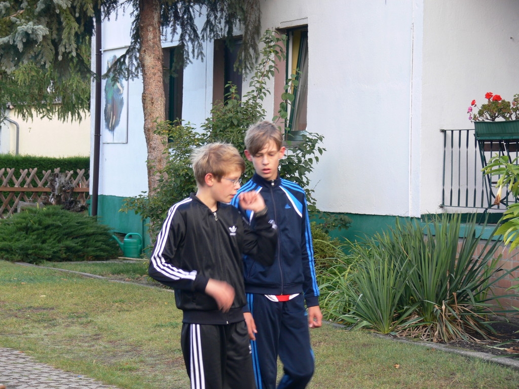 https://strapi.ttv-topspin-bernau.denull