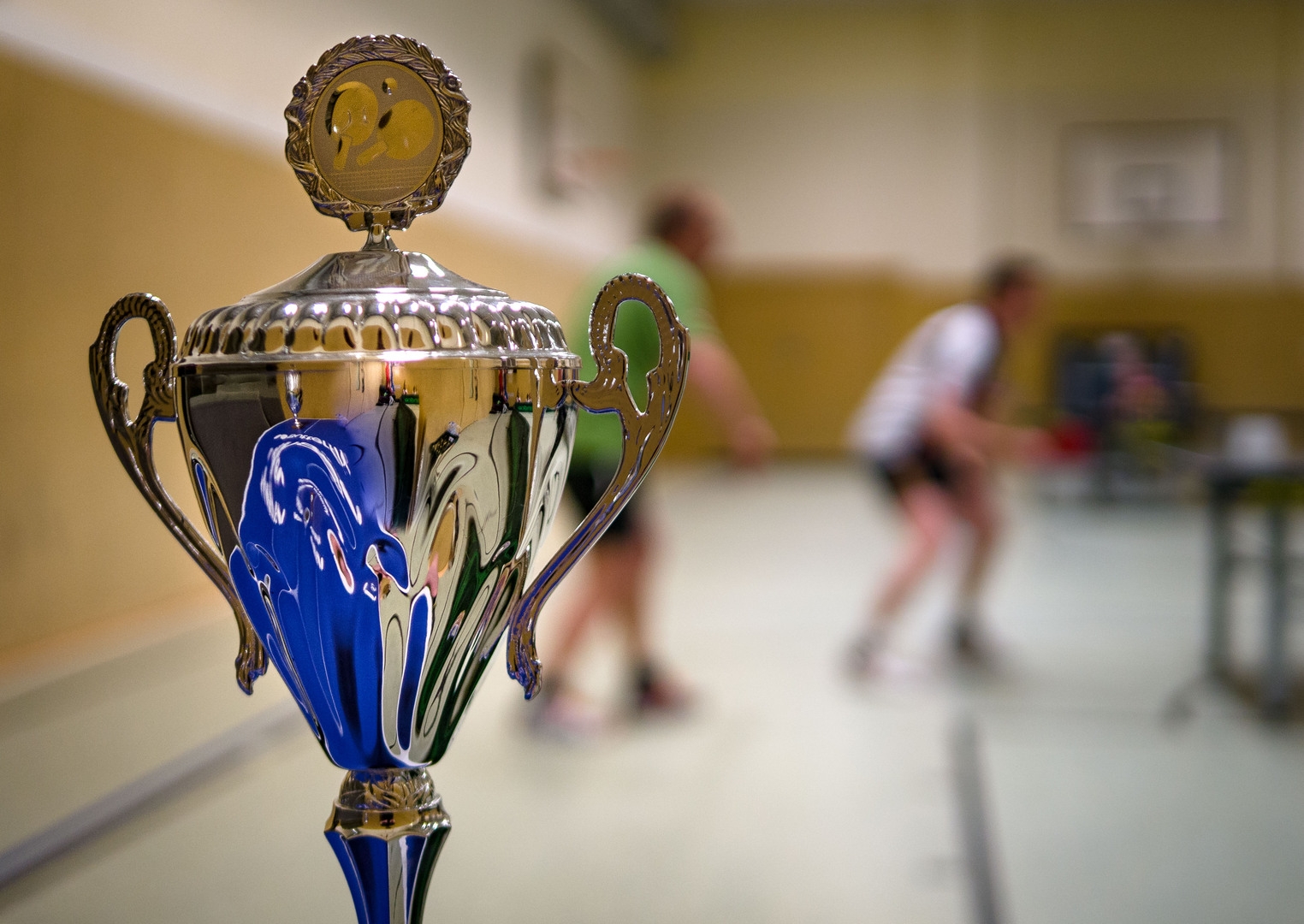 https://strapi.ttv-topspin-bernau.denull