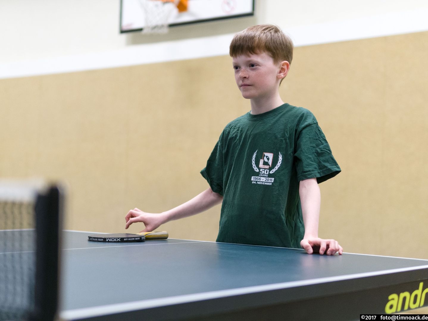 https://strapi.ttv-topspin-bernau.denull