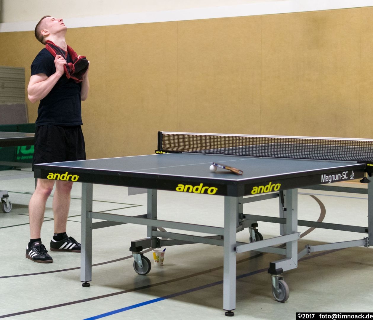 https://strapi.ttv-topspin-bernau.denull