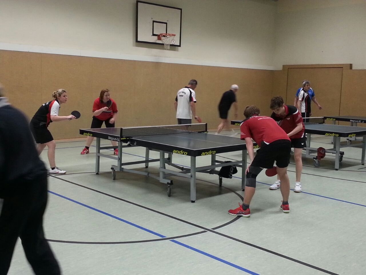 https://strapi.ttv-topspin-bernau.denull