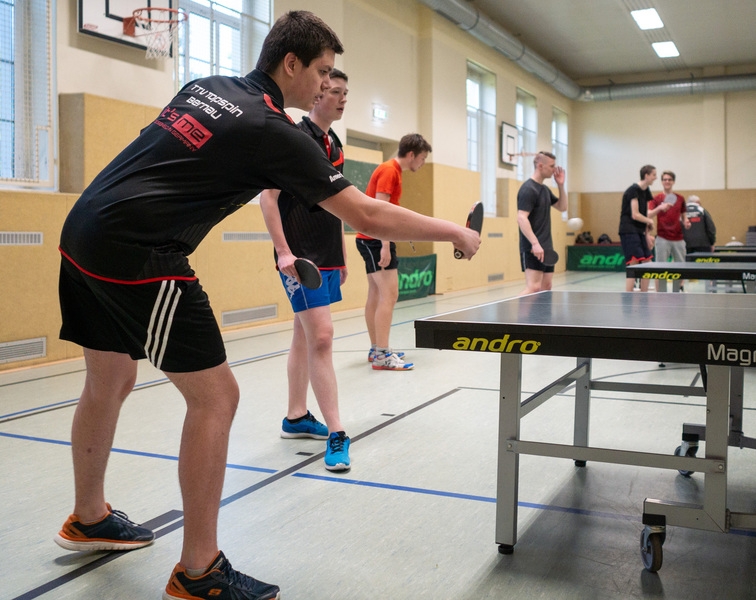 https://strapi.ttv-topspin-bernau.denull