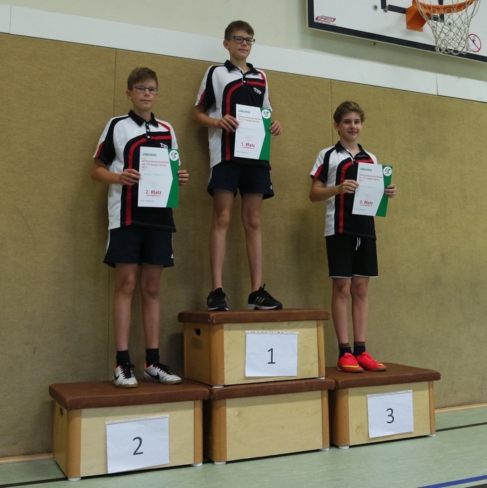 https://strapi.ttv-topspin-bernau.denull