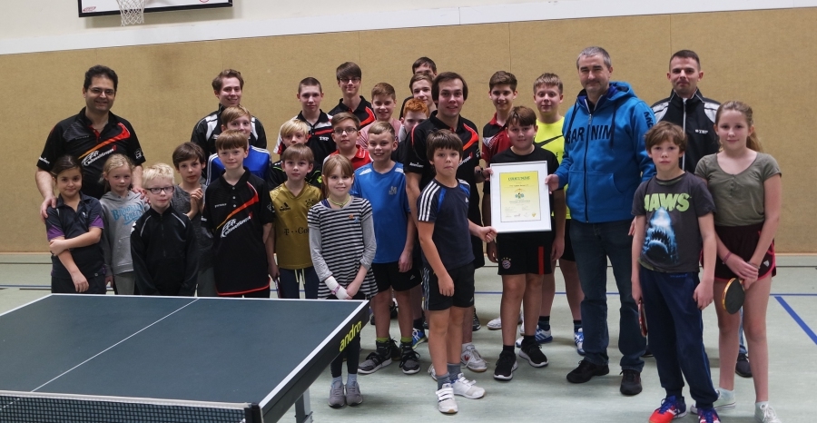 https://strapi.ttv-topspin-bernau.denull